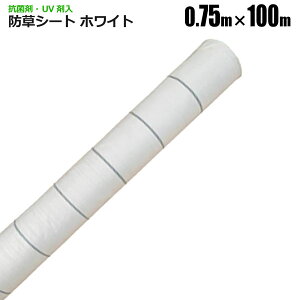 hV[g 0.75m×100m zCg Rۍ UVܓ ˃V[g V[g Gh~V[g  悯V[g VZC [J[