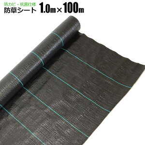 hV[g 1m×100m  R V[g Gh~V[g  悯V[g VZC [J[