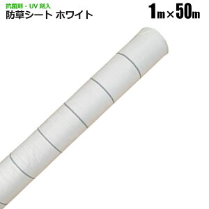 hV[g 1m×50m zCg Rۍ UVܓ ˃V[g V[g Gh~V[g  悯V[g VZC [J[