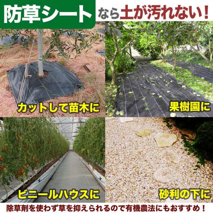 楽天市場 シンセイ 防草シート 2m 50m 緑 抗菌 草除けシート 雑草防止シート 草おさえ 草よけシート ホームオン