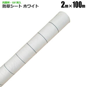 hV[g 2m×100m zCg Rۍ UVܓ ˃V[g V[g Gh~V[g  悯V[g VZC [J[