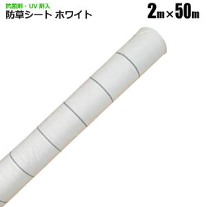 hV[g 2m×50m zCg Rۍ UVܓ ˃V[g V[g Gh~V[g  悯V[g VZC [J[