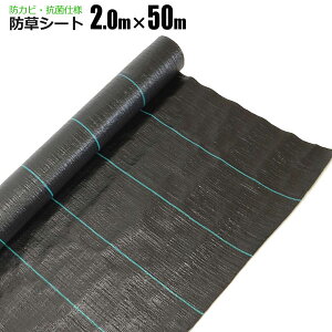 hV[g 2m×50m  R V[g Gh~V[g  悯V[g VZC [J[