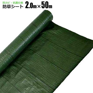 hV[g 2m×50m  R V[g Gh~V[g  悯V[g