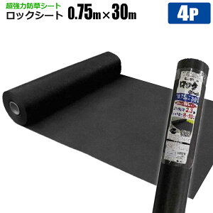 ͖hV[g bNV[g 0.75m×30m 4{Zbg 240B ͎G悯 G΍ Gh~V[g  悯V[g VZC[J[