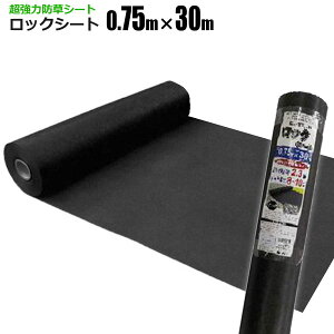 ͖hV[g bNV[g 0.75m×30m 240B ͎G悯 G΍ Gh~V[g  悯V[g VZC[J[