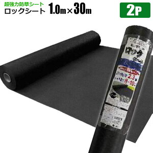 ͖hV[g bNV[g 1m×30m 2{Zbg 240B ͎G悯 G΍ Gh~V[g  悯V[g VZC[J[