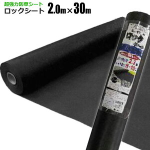 ͖hV[g bNV[g 2m×30m 240B ͎G悯 G΍ Gh~V[g  悯V[g VZC [J[