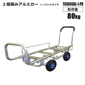 A~nEXJ[ Rei3ς m[pN^C? TC4503AL-1-PU ؃JS Rei3 ^ VZC[J[