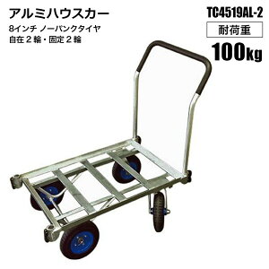 A~nEXJ[ Rei2ς  TC4519AL-2 ؃JS Rei2 ^ VZC[J[