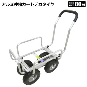 nJ[g Lk fJ^C A~ ؃JS ^ VZC[J[