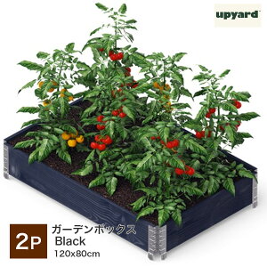 upyard K[f{bNX ؐ 120×80×19.5cm 2Zbg kfUC ƒ؉  Ԓd CYhxbh K[fGbW SHINSEI VZC[J[