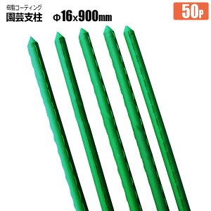 |x C{t 16mm×900mm 50{ R[eBO C{x Sh i _Ɨpx VZC [J[
