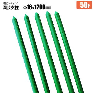 |x C{t 16mm×1200mm 50{ R[eBO C{x Sh i _Ɨpx VZC [J[