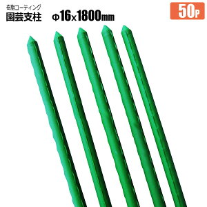 |x C{t 16mm×1800mm 50{ R[eBO C{x Sh i _Ɨpx VZC [J[