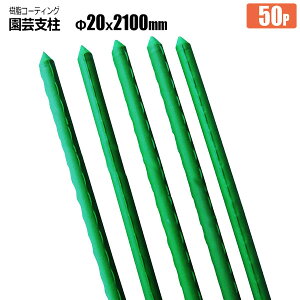 |x C{t 20mm×2100mm 50{ R[eBO C{x Sh i _Ɨpx @l蔭 VZC[J[