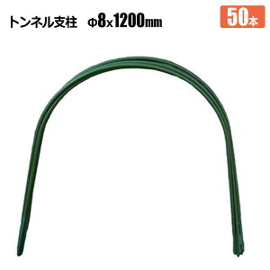 glx 8  1200mm 50{ rj[gl Q Q ͔| _Ǝ VZC[J[