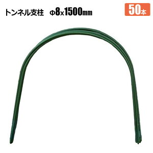 glx 8  1500mm 50{ rj[gl Q Q ͔| _Ǝ VZC[J[