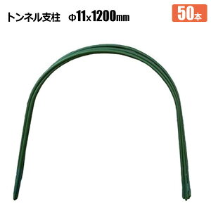 glx 11  1200mm 50{ rj[gl Q Q ͔| _Ǝ VZC[J[