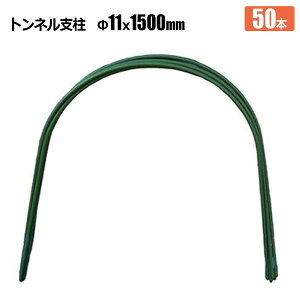 glx 11  1500mm 50{ rj[gl Q Q ͔| _Ǝ VZC[J[