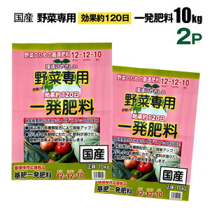ؐpꔭ엿 10kg×2Zbg Y 12-12-10 ʖ120 ɂ₳ | ƒ؉ VZC[J[