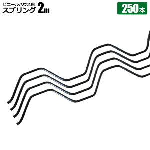 rjybgXvO 250{ R[g 핢  rj[Œ _Ǝ @l̔ VZC [J[