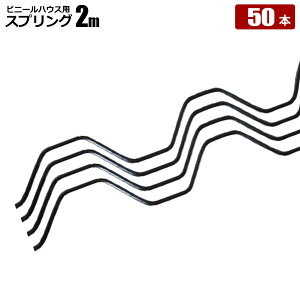 rjybgXvO 50{ R[g 핢  rj[Œ _Ǝ @l̔ VZC [J[