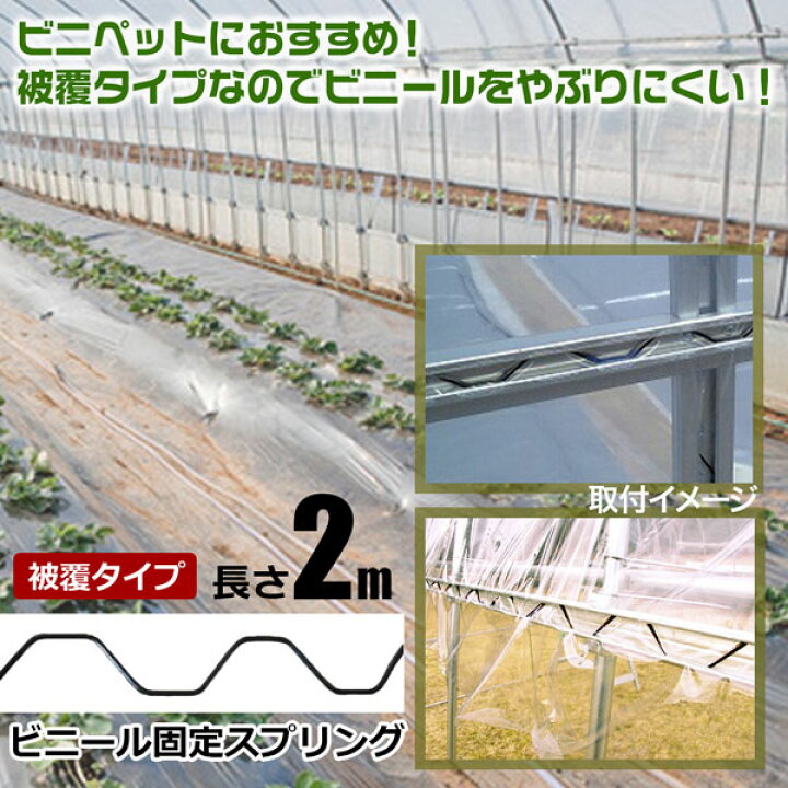 楽天市場】ビニペットスプリング 50本 樹脂コート 被覆 黒 ビニール 