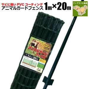 Aj}K[htFX 1m×20m x 11{t hbO  tFX lbg   hb ΍ K[fjO | VZC [J[