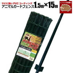 VZC Aj}K[htFX 1.5m×15m x 11{t hbO  tFX lbg p CmVV΍  hb K[fjO |