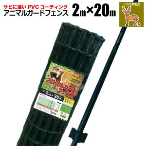Aj}K[htFX 2m×20m x 11{t hbO  tFX lbg   hb ΍ K[fjO | VZC [J[