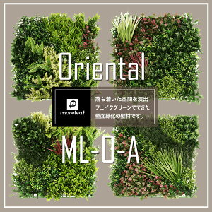 A[t moreleaf tFCNO[ oriental ϗtA fBXvC Ǌ| ǖʃCeA  O[ [J[UB