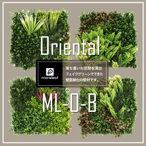 A[t moreleaf tFCNO[ oriental ϗtA fBXvC Ǌ| ǖʃCeA  O[ [J[UB