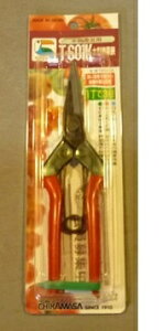 ߐ@^E@n攖n@T|601K@BP