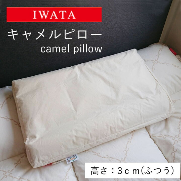 楽天市場】イワタ キャメルピロー 3cmふつう 枕【IWATA】【イワタ  