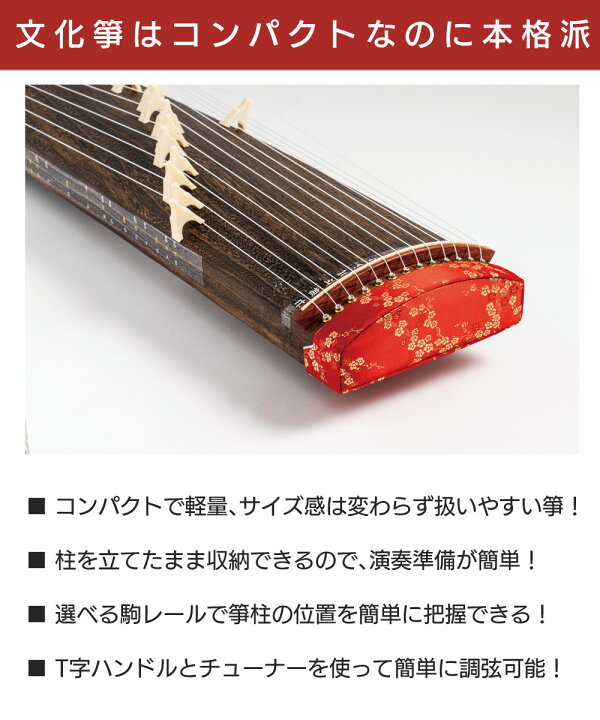 楽天市場】琴 全音 文化箏 羽衣 ケース付き ゼンオン ZK-10 和楽器 