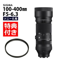 楽天市場】100-400mm f5-6.3 dg dn os ソニーeの通販