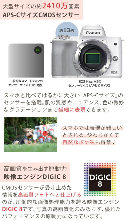 楽天市場】【カメラバッグ付おすすめミラーレス7点セット】新品 