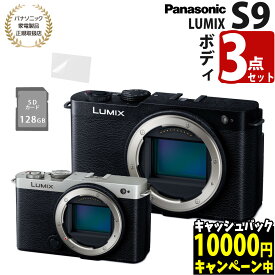 （SD＆液晶保護フィルムセット）パナソニック LUMIX S9 ボディ Panasonic フルサイズミラーレス一眼カメラ ブラック シルバー DC-S9 DCS9 小型 コンパクト 高画質
