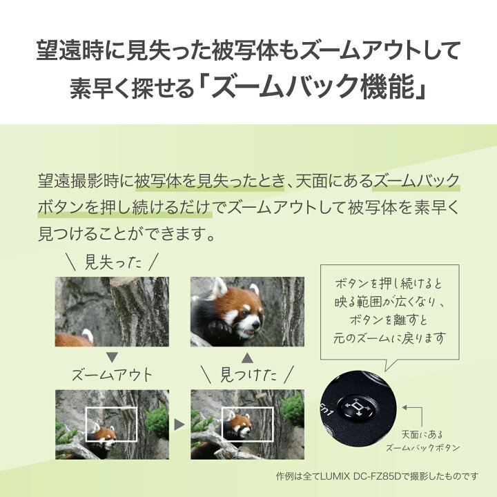 楽天市場】(SD・クロス等5点セット)パナソニック デジタルカメラ 