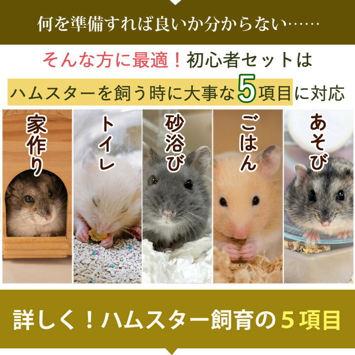 楽天市場】(15点セット) ハムスター 飼育 セット マルカン クリーン 