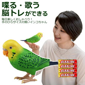 楽天市場 インコ おもちゃ おもちゃ の通販