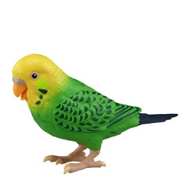 楽天市場 おしゃべり インコ おもちゃの通販