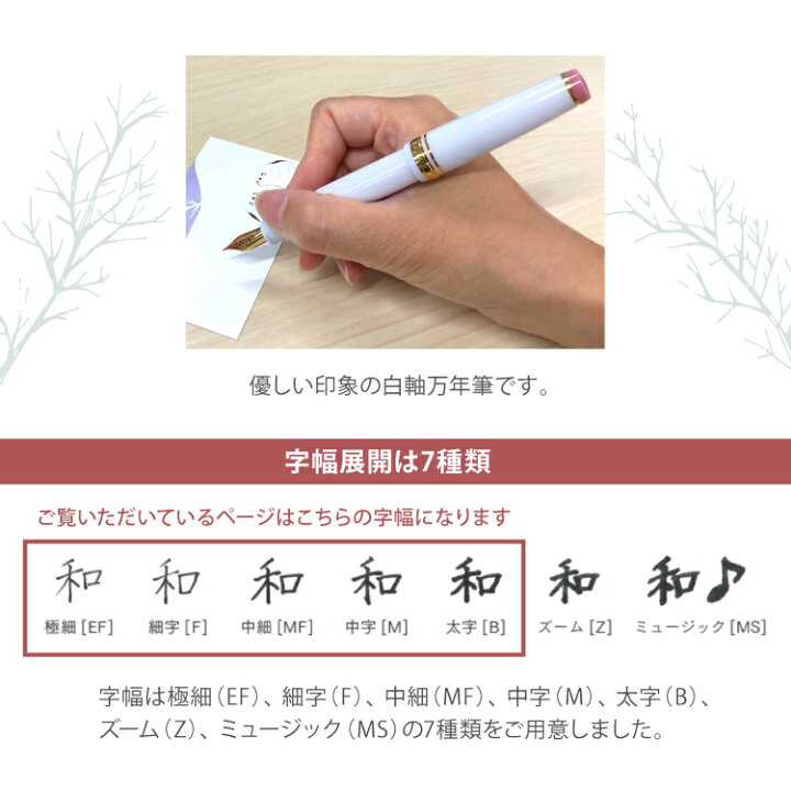 楽天市場】セーラー万年筆 限定商品 ホームショッピング オリジナル  
