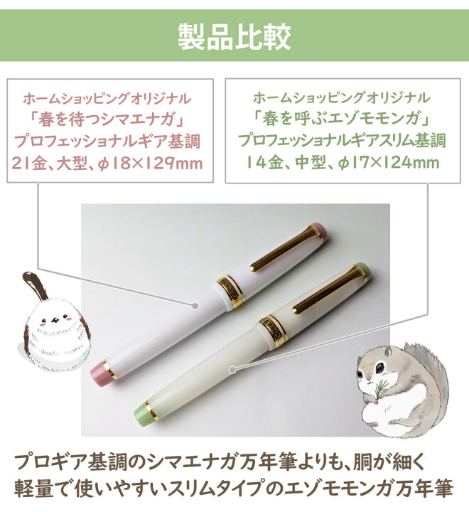 楽天市場】【初回限定特典付き】セーラー万年筆 ホームショッピング  