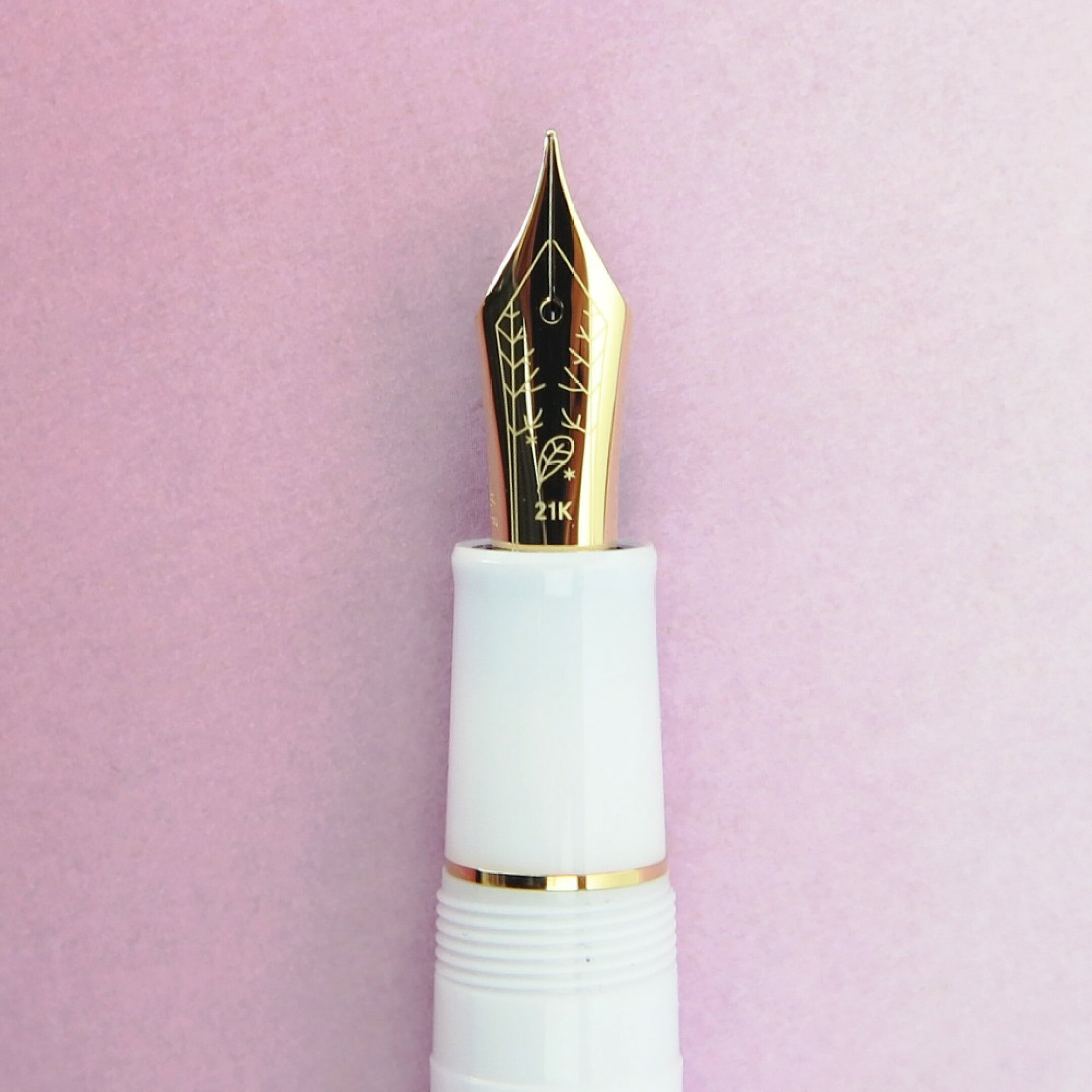 春を待つシマエナガイメージ4