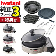 イワタニ カセットコンロ ビストロの達人プラス ★レビューでお米/楽天1位★ 深型プレート付 シルバー ブ…