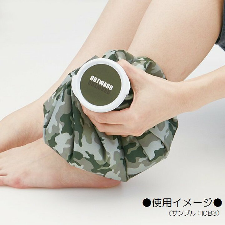 楽天市場 寝苦しい夜 発熱時 ワクチン接種後のアイシングに スケーター Skater アイスバッグm ディノサウルス Icb2 氷のう 氷嚢 冷やす 熱中症 冷えピタ アイスノン がなくても常備で安心 ホームショッピング