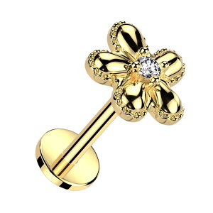 {fBsAX 16G ubgX^bh ^b` vbV ubgX^bh ~jgbv  WG sAX wbNX T[WJXeX ubg bv {fB[sAX