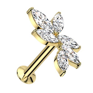 {fBsAX16G 18G ubgX^bh WG }[L[X n[g ECO H [t t @C  vbV ^b` ubgX^bh sAX wbNX T[WJXe